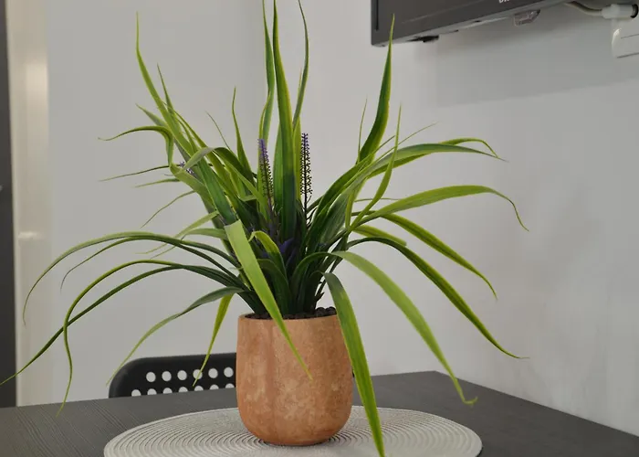 Silver Gray Retreat Apartment *