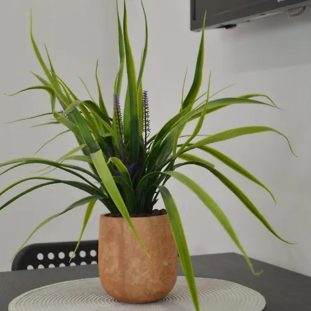 Silver Gray Retreat アパート *